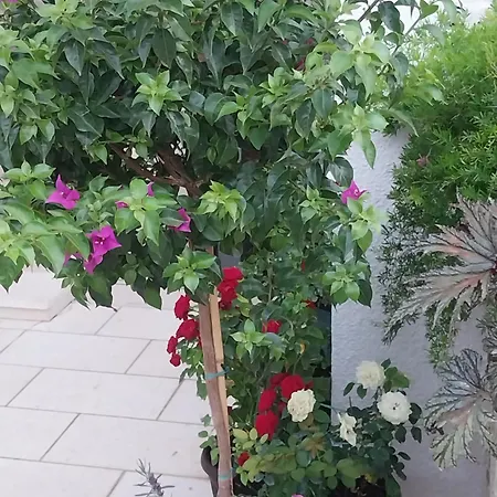 Liberan Aparthotel Neum