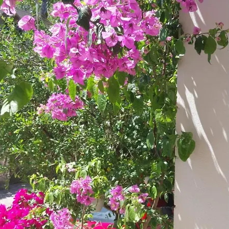 Апарт-отель Liberan 3*