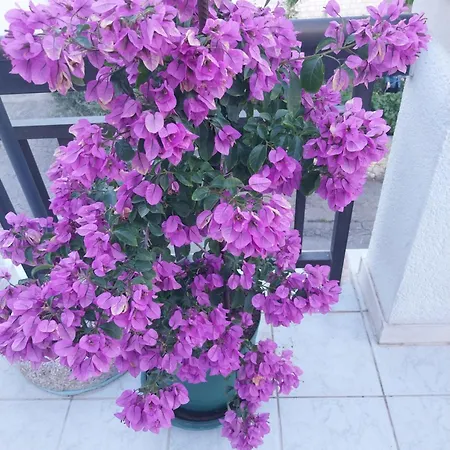 Liberan Hotel apartamentowy Neum