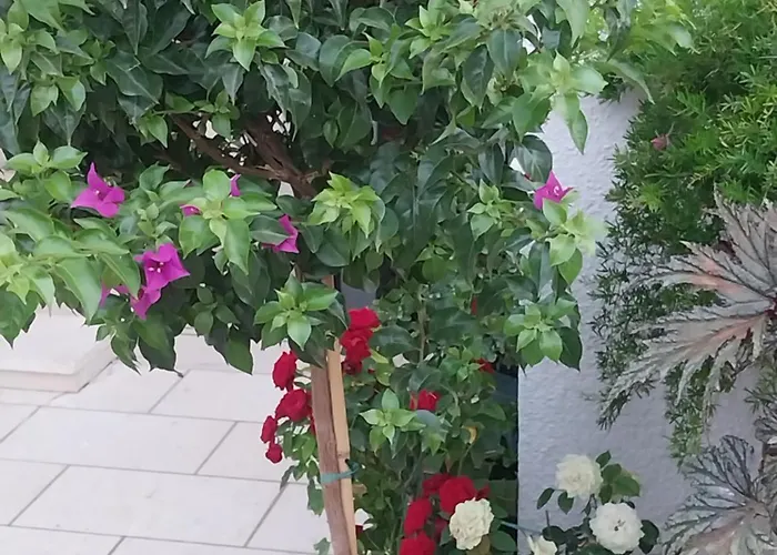 Liberan Aparthotel Neum