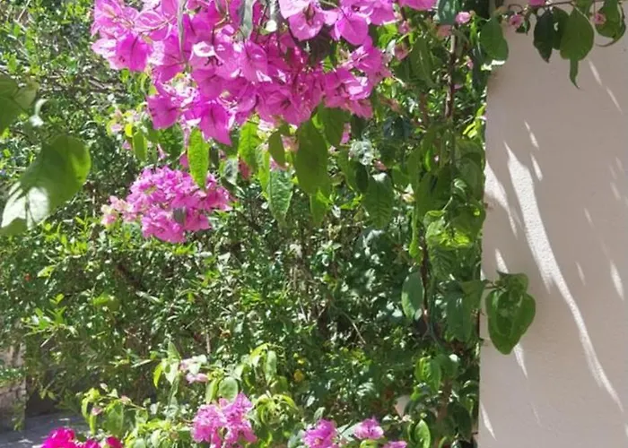 Aparthotel Liberan 3*