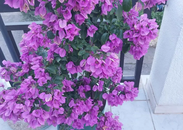 Liberan Aparthotel Neum